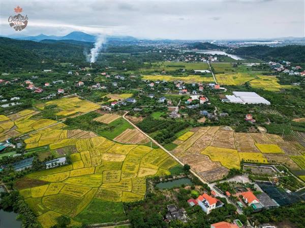 TỔ DÂN PHỐ TIÊN SƠN, PHƯỜNG TRẦN HƯNG ĐẠO – NGÔI LÀNG NÉP GIỮA NÚI RỪNG, ĐẸP NHƯ CHÍNH TÊN GỌI