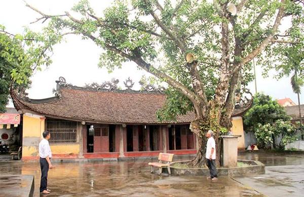 Ngôi đình độc đáo ở Châu Bộ thờ ba mẹ con được tôn làm Thành hoàng làng