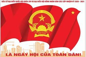 Những nội dung cơ bản của Luật Bầu cử đại biểu Quốc hội và đại biểu Hội đồng nhân dân
