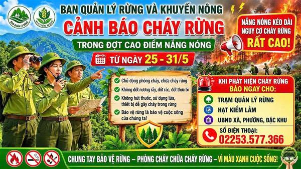 Cảnh báo nguy cơ cháy rừng trên địa bàn thành phố Hải Phòng từ ngày 25/5 đến 31/5