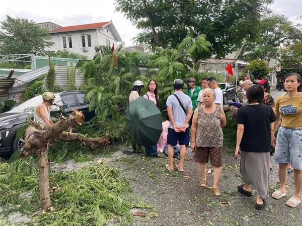 Bão số 10: Hải Phòng có 9 người bị thương và nhiều nhà tốc mái do dông lốc