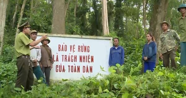 Phường Trần Nhân Tông được xác định là một trong các vùng trọng điểm có nguy cơ cháy rừng 