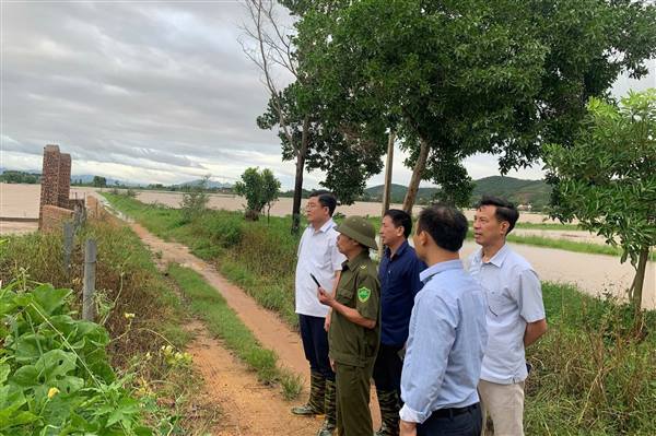 Triển khai thực hiện Nghị định số 40/2026/NĐ-CP của Chính phủ quy định chi tiết một số điều của Luật Thủy lợi 