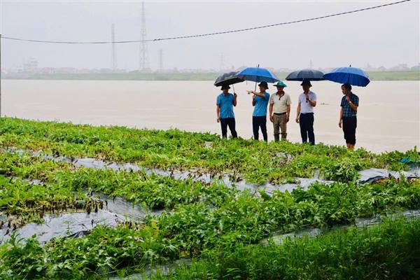 Đồng chí Bí thư Đảng ủy xã kiểm tra chỉ đạo khắc phục hậu quả do mưa lũ gây ra
