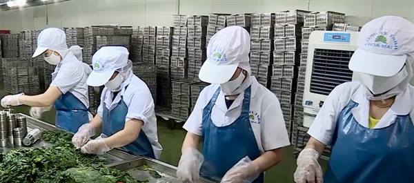 Phát triển kinh tế, cải thiện môi trường đầu tư kinh doanh: Trần Phú bứt phá từ những con số ấn tượng