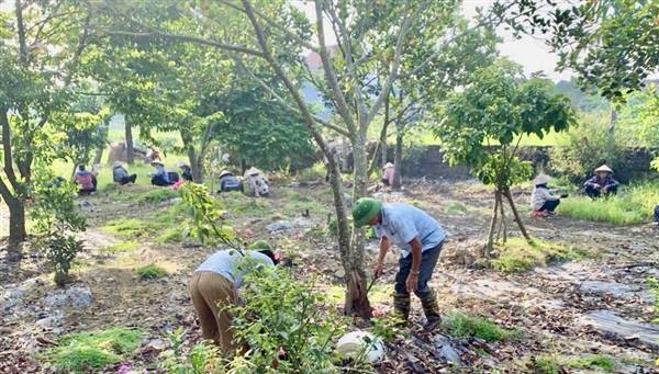 Thôn Bịch Tây ra quân tổng dọn vệ sinh môi trường