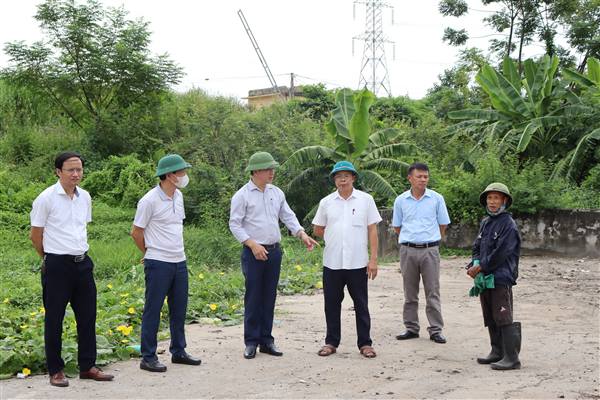Tăng cường kiểm tra, xử lý đề việc phân loại, thu gom rác đi vào nề nếp