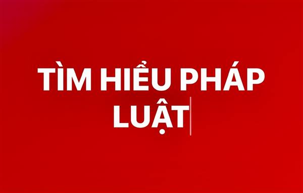 Cuộc thi “Tìm hiểu pháp luật trực tuyến năm 2025” sẽ diễn ra từ ngày 01 đến 30/10/2025