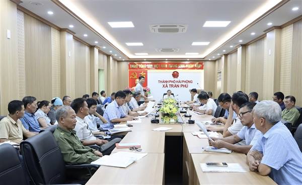 UBND xã Trần Phú triển khai phương thức đánh bắt chuột tập trung và thương thảo hợp đồng dịch vụ diệt chuột năm 2026
