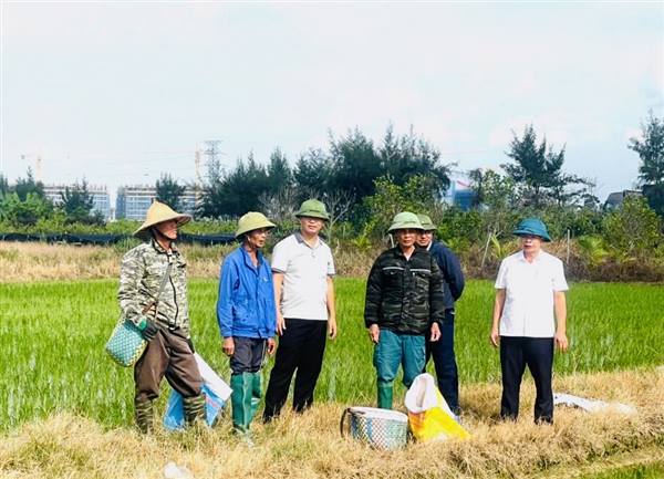 Lãnh đạo UBND xã kiểm tra, chỉ đạo công tác diệt chuột bảo vệ lúa mùa giai đoạn đẻ nhánh