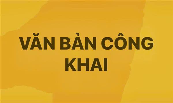 Công khai hồ sơ đăng ký đất đai lần đầu cháu Bùi Thị Phương Anh
