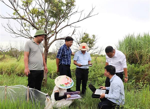 Xã Trần Phú: Khẩn trương kiểm đếm, giải phóng mặt bằng phục vụ dự án đường sắt tốc độ cao Hà Nội - Quảng Ninh