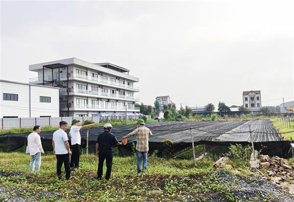 UBND xã Trần Phú tổ chức cưỡng chế kiểm đếm bắt buộc đối với diện tích đất của một hộ dân trên địa bàn