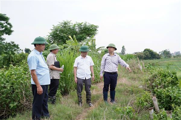 XÃ TRƯỜNG TÂN TĂNG CƯỜNG CÔNG TÁC KIỂM TRA, QUẢN LÝ ĐẤT ĐAI, XÂY DỰNG, HÀNH LANG GIAO THÔNG, ĐÊ ĐIỀU, THỦY LỢI.