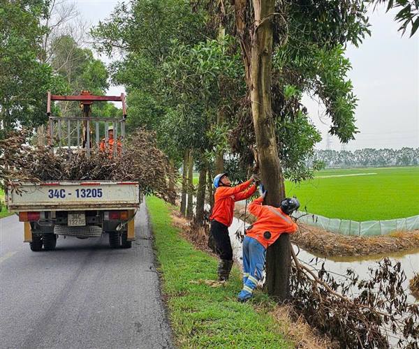 XÃ TRƯỜNG TÂN TỔ CHỨC CẮT TỈA CÀNH CÂY TRÊN CÁC TUYẾN ĐƯỜNG, ĐẢM BẢO AN TOÀN MÙA MƯA BÃO