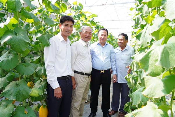 Lãnh đạo Thành ủy kiểm tra mô hình nhà màng, nhà lưới tại Hợp tác xã Tân Minh Đức xã Trường Tân