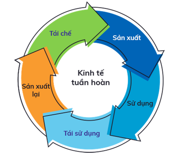 KẾ HOẠCH
Triển khai thực hiện Kế hoạch hành động quốc gia thực hiện
kinh tế tuần hoàn đến năm 2035 trên địa bàn xã Tứ Kỳ