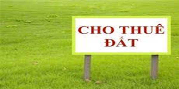 V/v cung cấp thông tin vi phạm