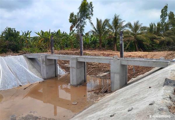 Phê duyệt Dự án cải tạo, nâng cấp cống lấy nước trạm bơm Cự Lộc tại xã Tứ Kỳ