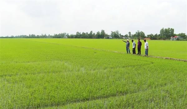 Thông báo về việc phòng chống bão số 9 đối với sản xuất nông nghiệp