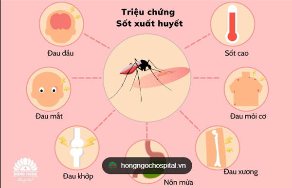THÔNG BÁO
Về việc khẩn trương triển khai các biện pháp phòng, chống bệnh
sốt xuất huyết Dengue trên địa bàn xã Tứ Kỳ