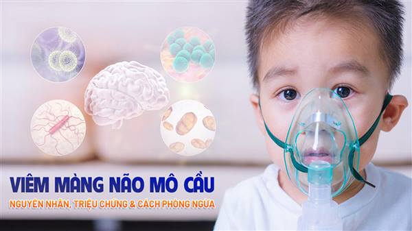Tăng cường truyền thông phòng, chống bệnh do não mô cầu