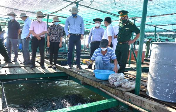 Tứ Kỳ chủ động phòng, chống dịch bệnh thủy sản trong giai đoạn nắng nóng