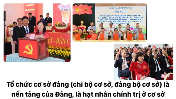 Đảng bộ xã Tứ Kỳ tập trung nâng cao chất lượng hoạt động tổ chức cơ sở đảng