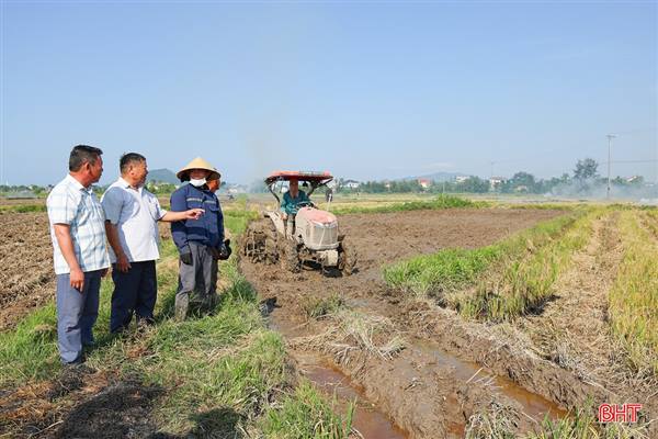 Chủ động triển khai các giải pháp kỹ thuật, phấn đấu giành thắng lợi sản xuất lúa vụ mùa 2026