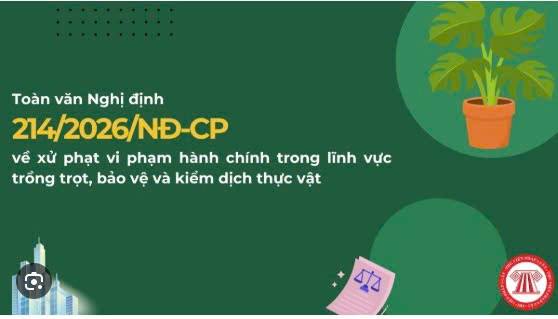 Nghị định 214/2026/NĐ-CP ngày 18/6/2026 quy định xử phạt vi phạm hành chính trong lĩnh vực trồng trọt, bảo về và kiểm dịch thực vật