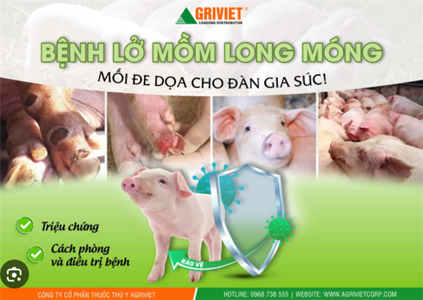KẾ HOẠCH
Hành động ứng phó khẩn cấp với bệnh Lở mồm long móng
do vi rút thuộc serotype SAT1 trên địa bàn xã Tứ Kỳ