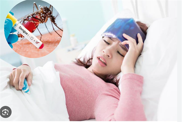 V/v sẵn sàng đáp ứng phòng, chống
dịch bệnh Sốt xuất huyết Dengue năm
2026 trên địa bàn xã Tứ Kỳ