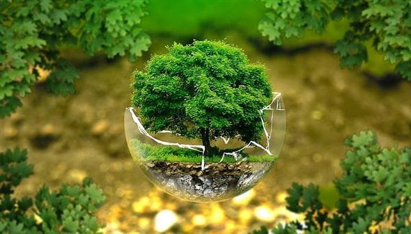 Hành động nhỏ - Thay đổi lớn