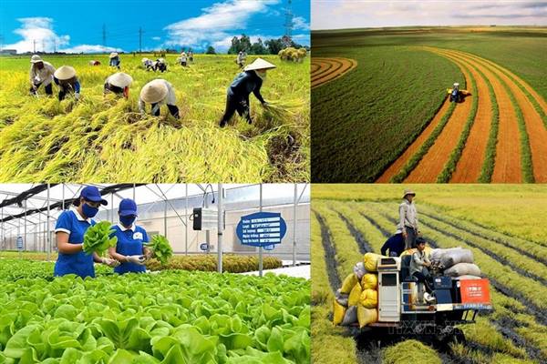 Xã Tứ Kỳ công bố quy trình nội bộ giải quyết thủ tục hành chính thuộc lĩnh vực nông nghiệp và môi trường