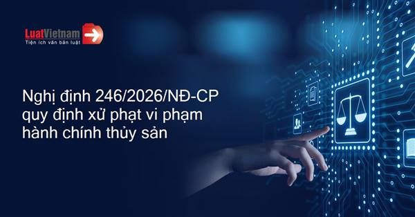 Quy định xử phạt vi phạm hành chính trong lĩnh vực thuỷ sản tại nghị định số 246/2026/NĐ-CP ngày 29/6/2026