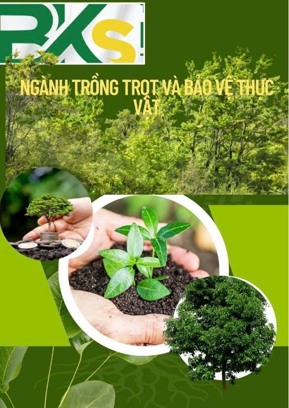 Quyết định số 3180/QĐ-UBND ngày 10/8/2026 về việc công bố danh mục thủ tục hành chính được sửa đổi, bổ sung, lĩnh vực trồng trọt và bảo vệ thực vật thuộc phạm vị chức năng của Sở Nông nghiệp và Môi trường