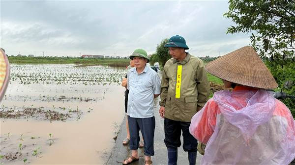 Lãnh đạo xã Tứ Kỳ kiểm tra, chỉ đạo tiêu thoát nước sau mưa kéo dài