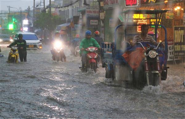  Tập trung ứng phó mưa lớn, ngập úng