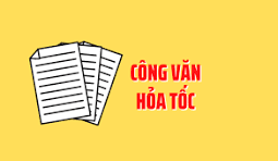 🔥Hỏa tốc: Thành phố Hải Phòng chủ động ứng phó với bão WiPha🔥
