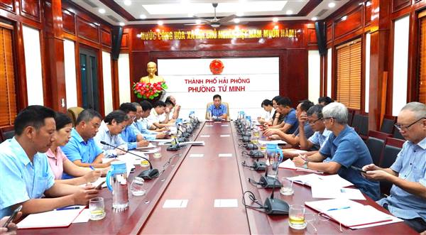 Phường Tứ Minh triển khai kế hoạch thu thuế sử dụng đất phi nông nghiệp năm 2025