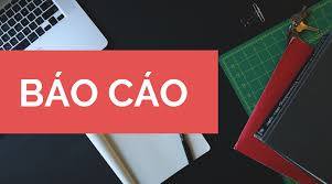 Báo cáo sơ kết tình hình thực hiện Quyết định số 1676/QĐTTg ngày 21/11/2019 của của Thủ tướng Chính phủ