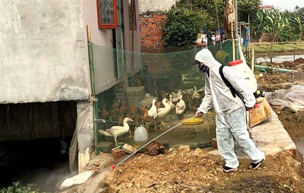 Phường Tứ Minh triển khai kế hoạch phun hóa chất tiêu độc, khử trùng môi trường đợt1năm 2026