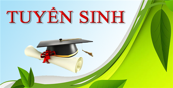 UBND phường Tứ Minh triển khai kế hoạch tuyển sinh cấp học mầm non, tuyển sinh đầu cấp tiểu học, THCS năm học 2026 – 2027