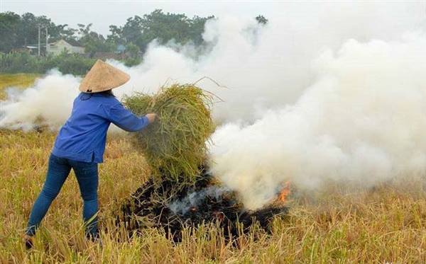 UBND phường Tứ Minh tăng cường tuyên truyền, vận động người dân không đốt rơm rạ sau thu hoạch