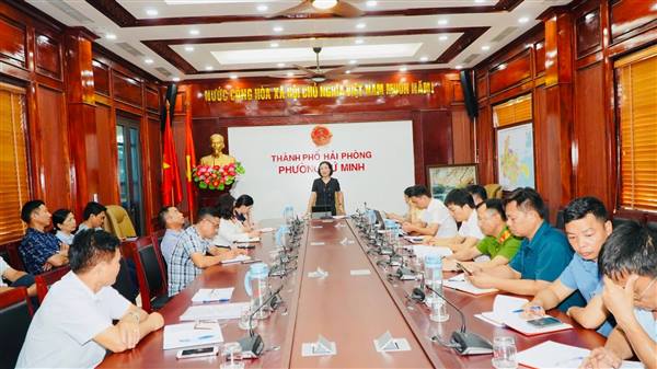 Phường Tứ Minh triển khai công tác tăng cường quản lý trật tự đô thị