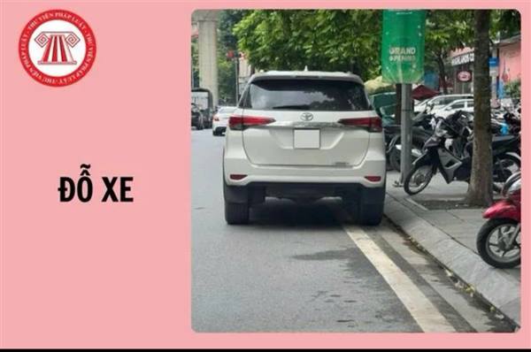 Video: Hướng dẫn đỗ xe đúng quy định
