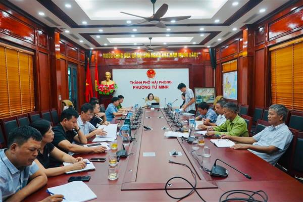 Phường Tứ Minh đẩy nhanh tiến độ hoàn thiện cơ sở dữ liệu đất đai