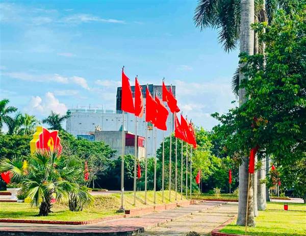 Tứ Minh đồng loạt treo cờ tổ quốc chào mừng Quốc khánh 2/9