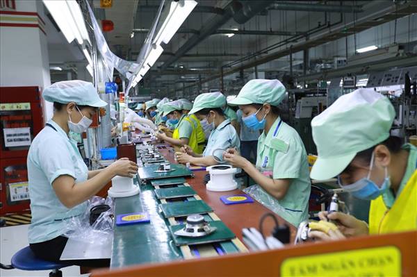 Triển khai thực hiện Đề án Phát triển quan hệ lao động trên địa bàn xã Tuệ Tĩnh năm 2026 - 2027
