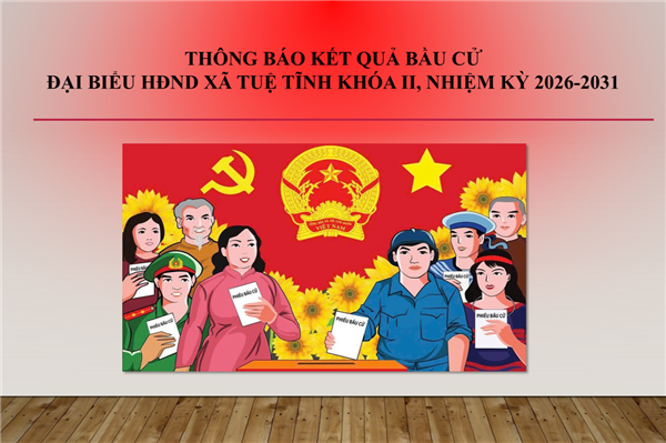 Thông báo Kết quả bầu cử đại biểu Hội đồng Nhân dân xã Tuệ Tĩnh khóa II, nhiệm kỳ 2026-2031